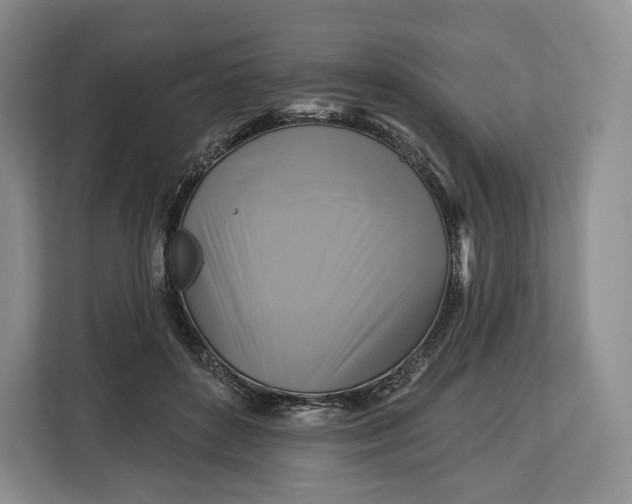 X0000113050504200909171544