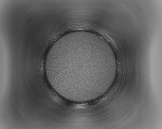 X0000113050505200909171544