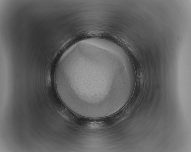 X0000113050508200909171544