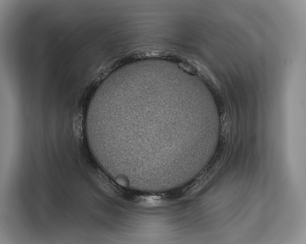 X0000113050509200909171544