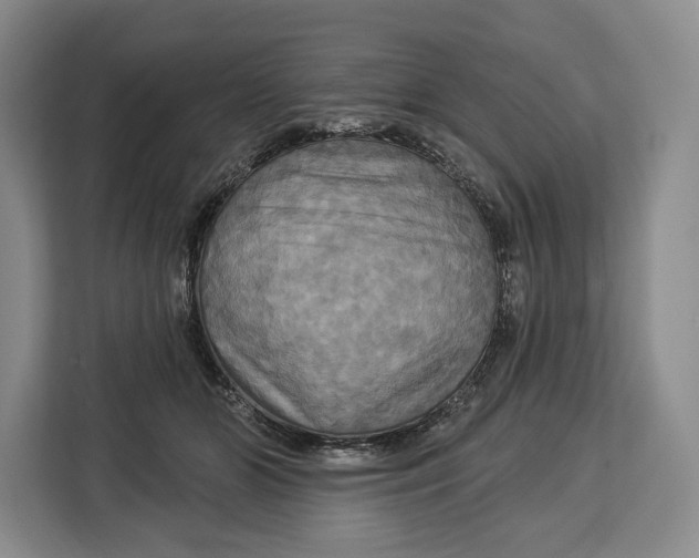 X0000113050510200909171544