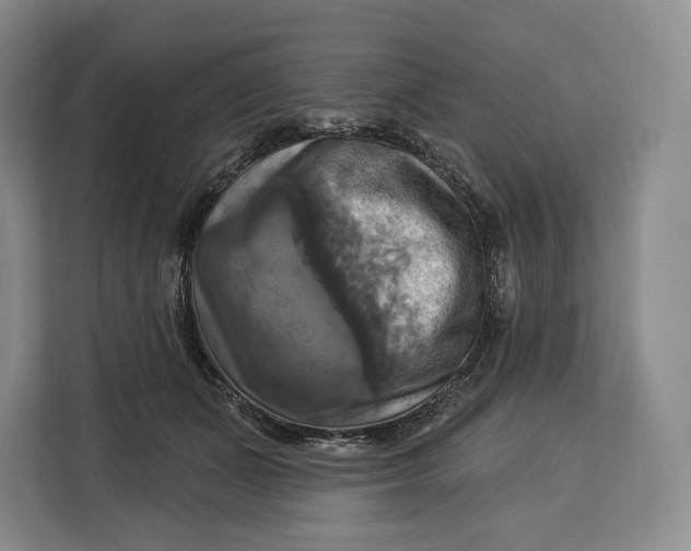 X0000113050511200909171544