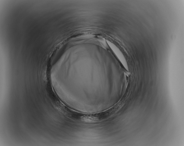 X0000113050512200909171544