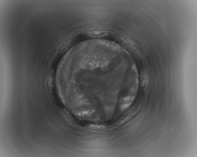 X0000113050515200909171544