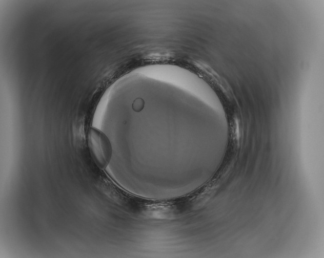 X0000113050516200909171544