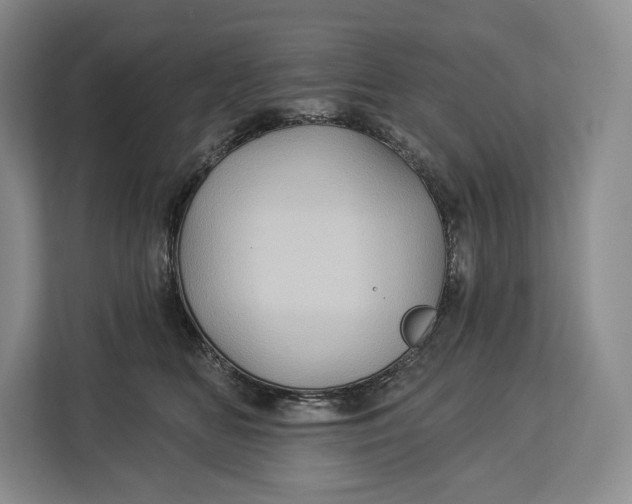 X0000113050518200909171543