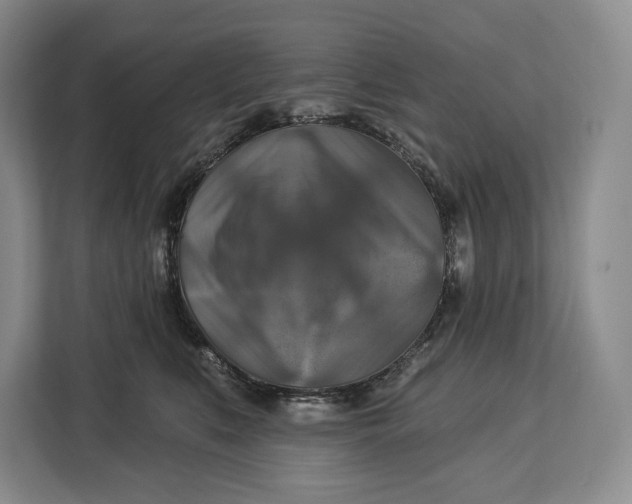 X0000113050519200909171543