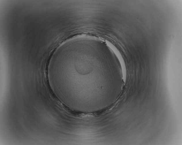 X0000113050520200909171543