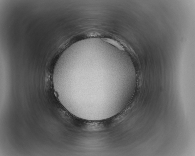 X0000113050521200909171543