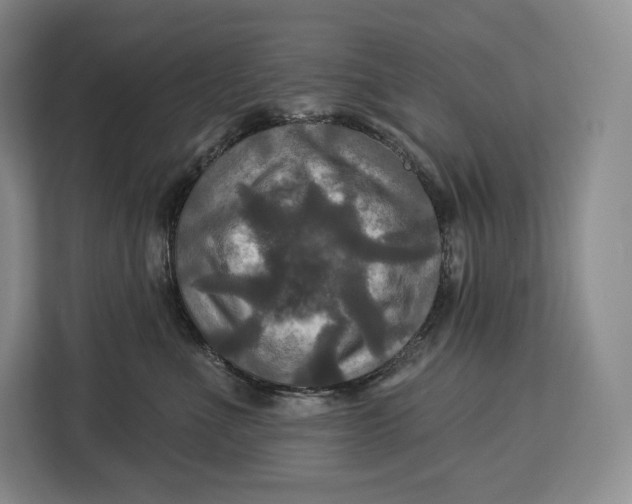 X0000113050523200909171543