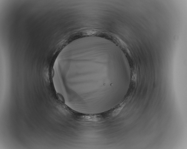 X0000113050524200909171543