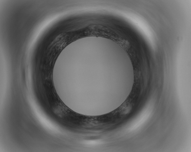 X0000113050526200909171543