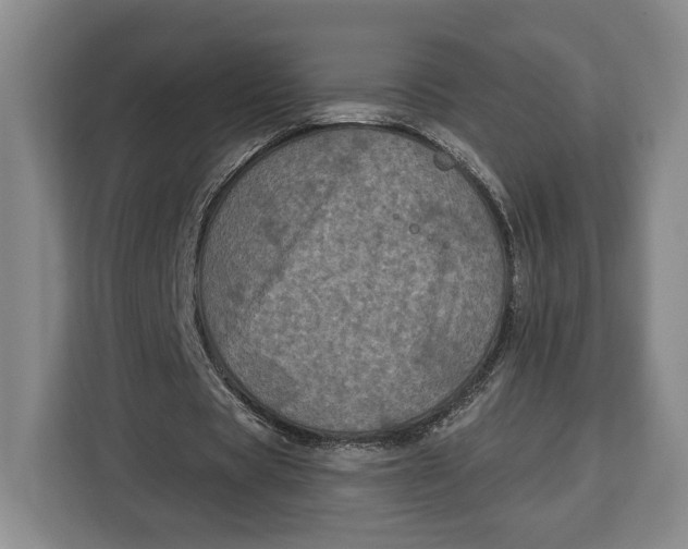 X0000113050529200909171543