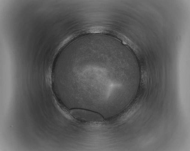 X0000113050530200909171543