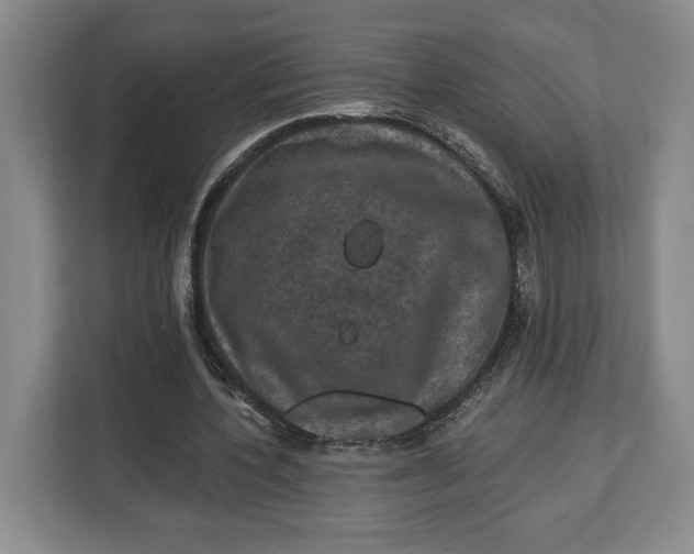 X0000113050532200909171543