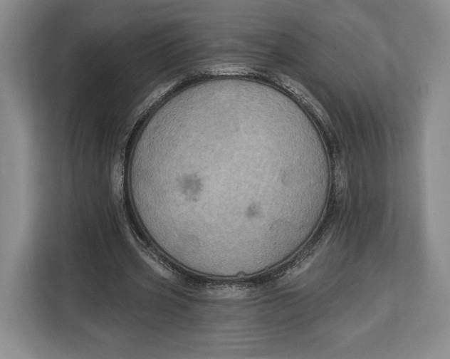 X0000113050533200909171543