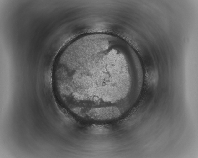 X0000113050534200909171543