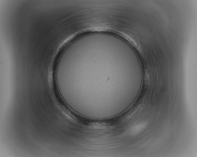 X0000113050535200909171543