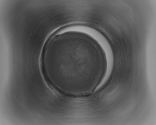 X0000113050536200909171543