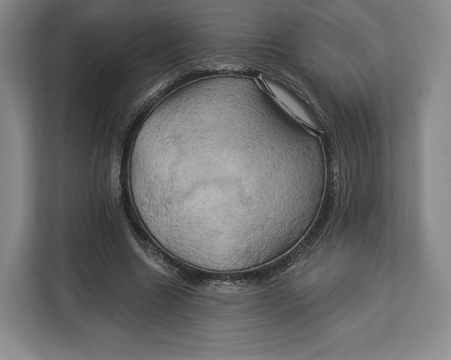 X0000113050538200909171543