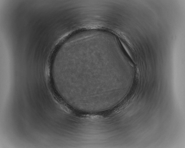 X0000113050539200909171543