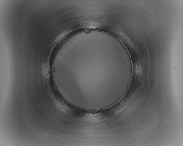 X0000113050540200909171543