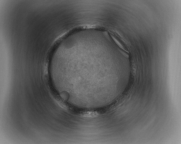 X0000113050543200909171543