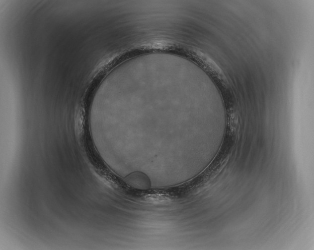 X0000113050544200909171543