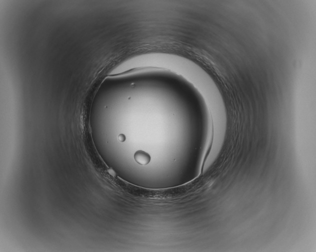 X0000113050546200909171543