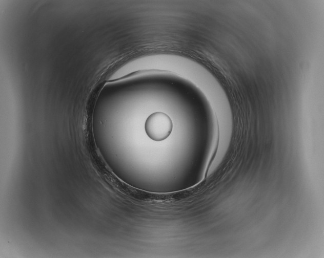 X0000113050548200909171543