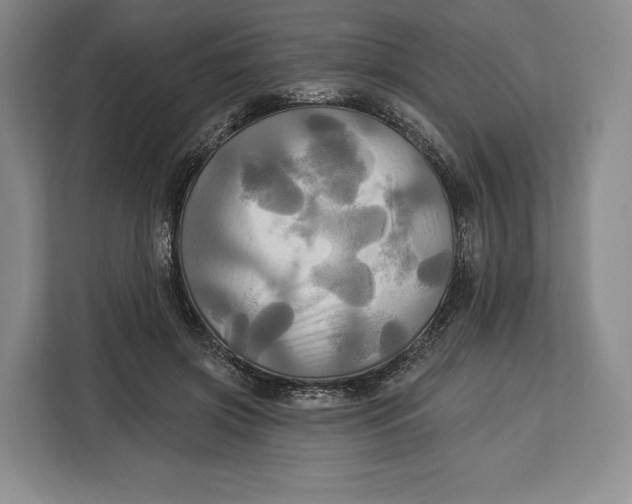 X0000113050549200909171543