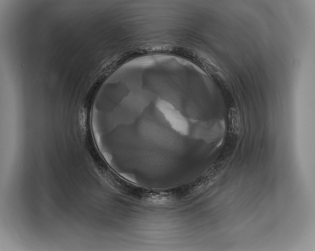 X0000113050550200909171543