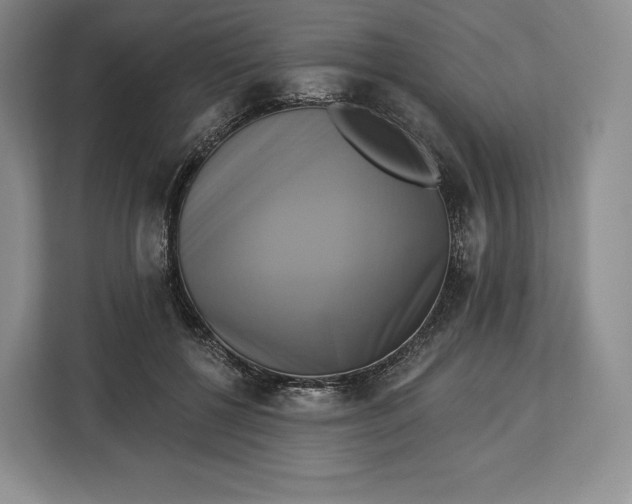 X0000113050552200909171543