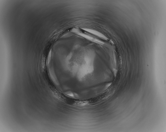 X0000113050554200909171543