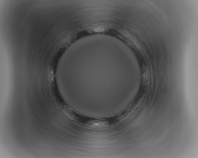 X0000113050555200909171543