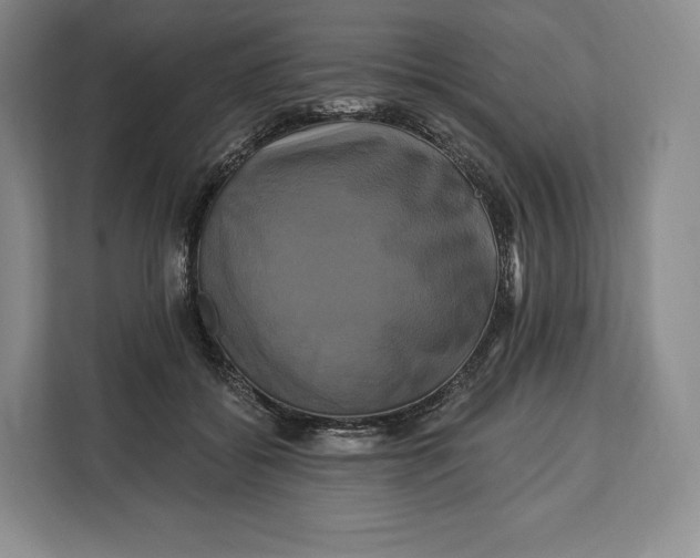 X0000113050556200909171543