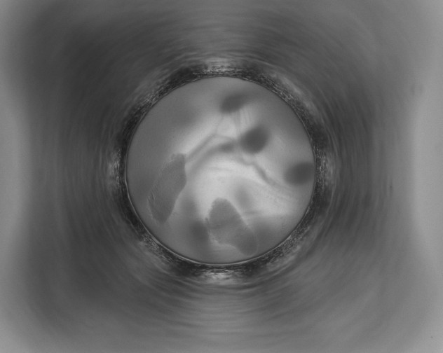 X0000113050557200909171543