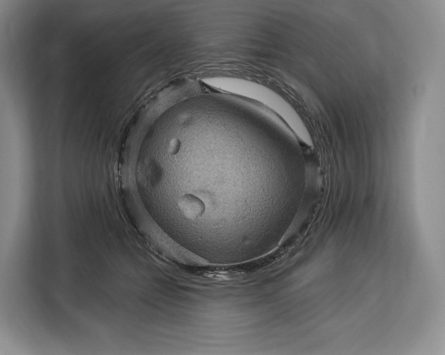 X0000113050558200909171543