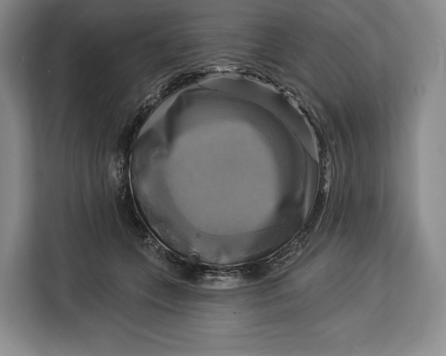 X0000113050559200909171543