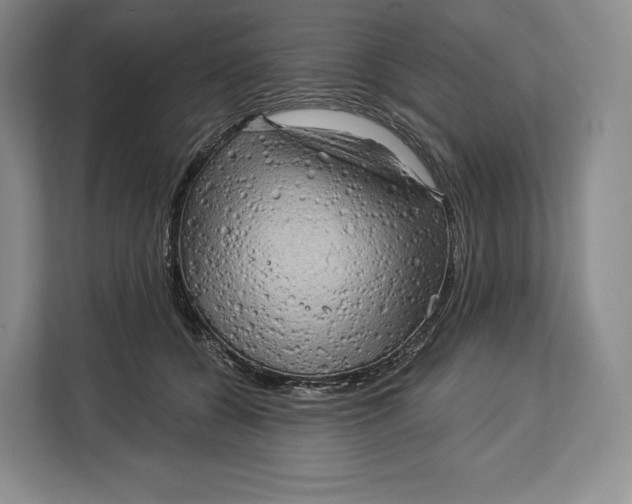 X0000113050560200909171543