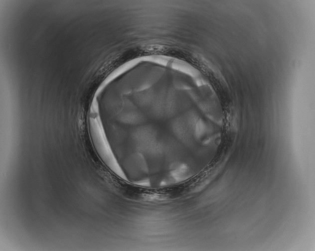 X0000113050561200909171543