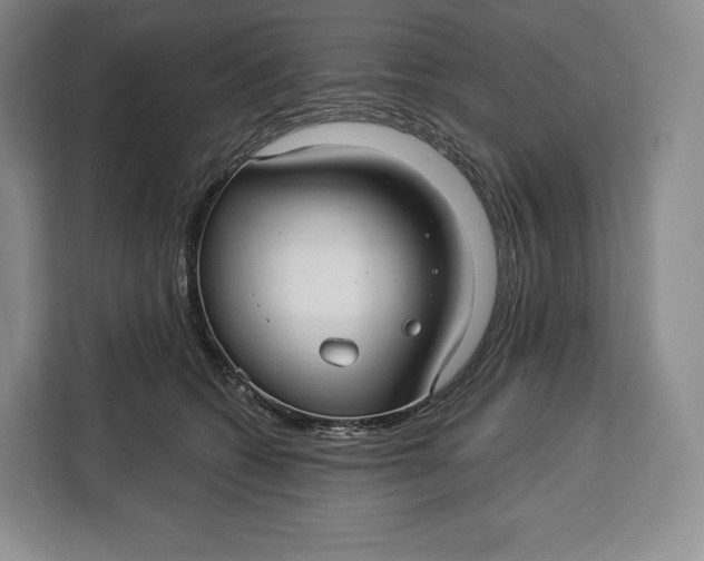 X0000113050562200909171543