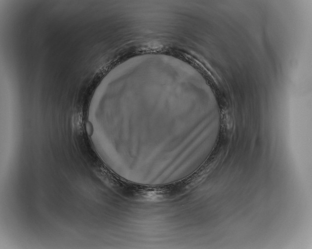 X0000113050564200909171543