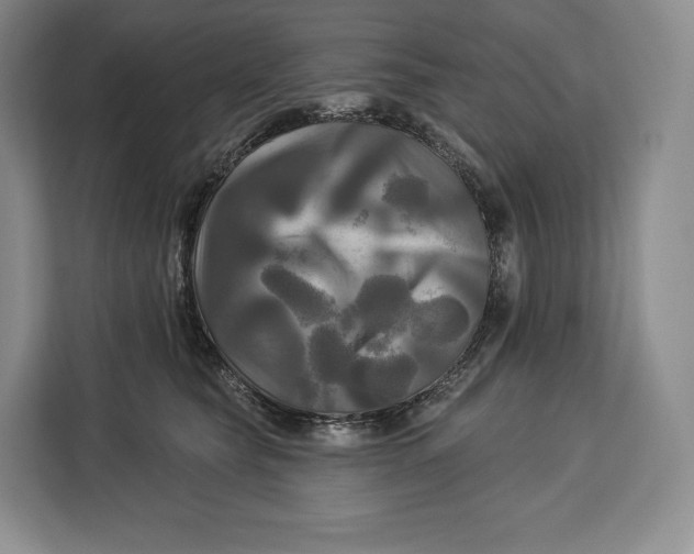 X0000113050565200909171543