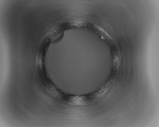 X0000113050566200909171543