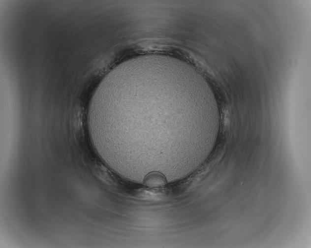 X0000113050567200909171543