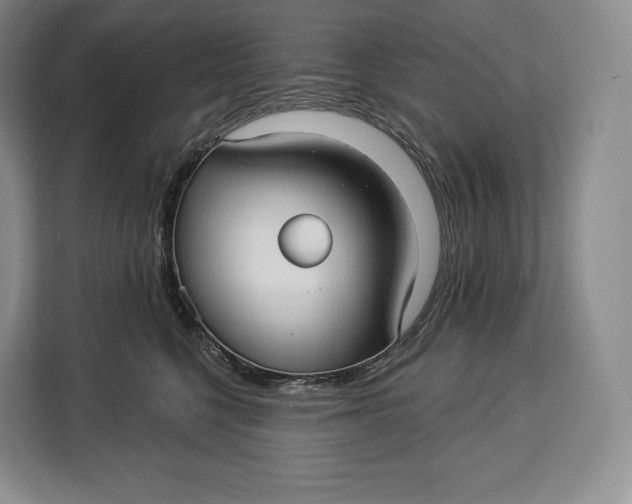 X0000113050568200909171543