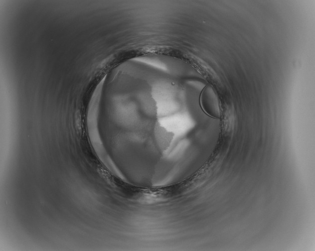 X0000113050569200909171543