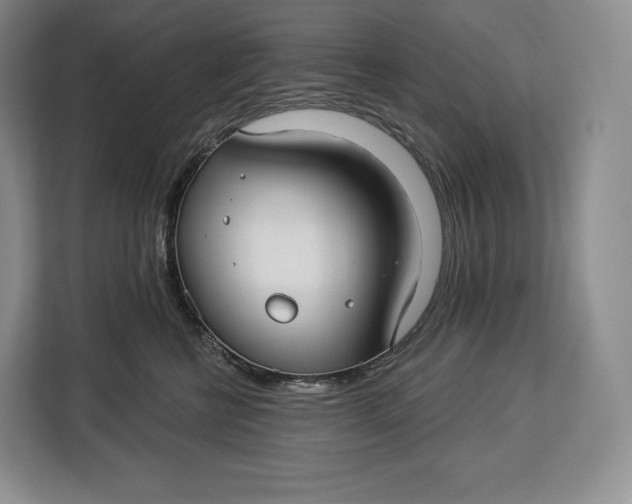 X0000113050570200909171543