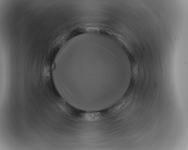 X0000113050571200909171543